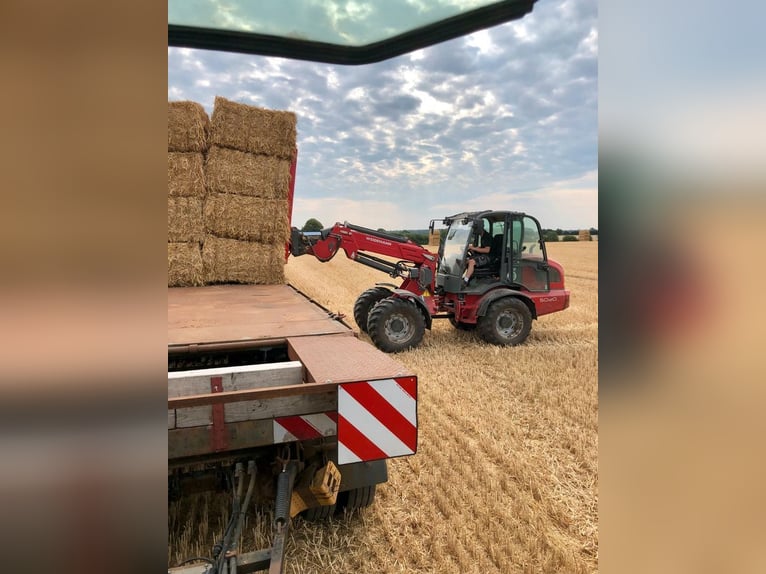 Stroh Roggenstroh Quaderballen