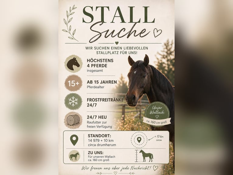 Suche Profi Reitlehrerin für Dressur 100€ auf eigenem Reitplatz!