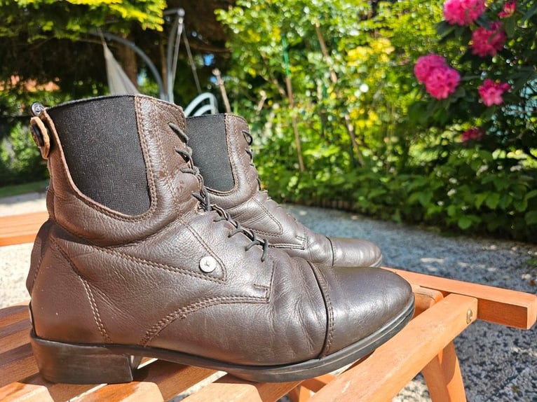 Südwind Reitstiefeletten dunkelbraun Gr. 39