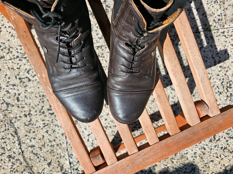 Südwind Reitstiefeletten dunkelbraun Gr. 39