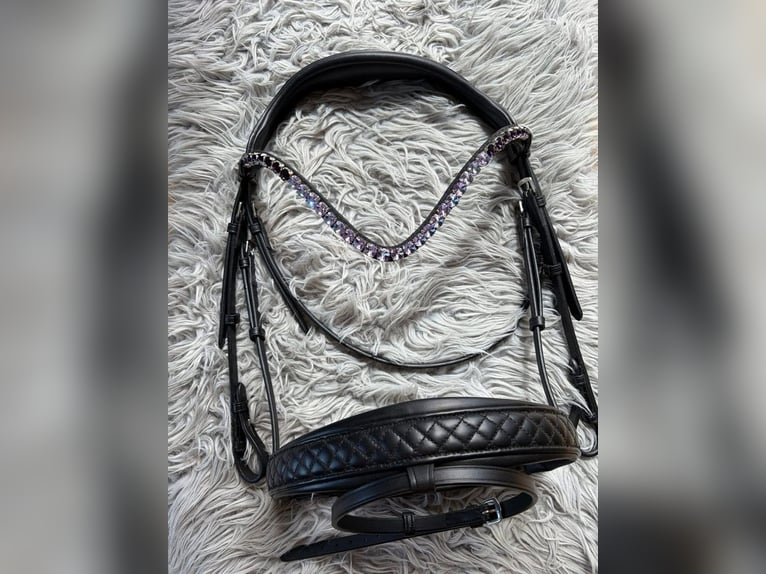 Superschickes Trensenzaum Luxery Violet Diamond ✨