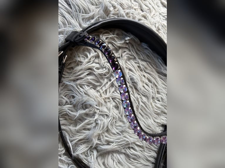 Superschickes Trensenzaum Luxery Violet Diamond ✨