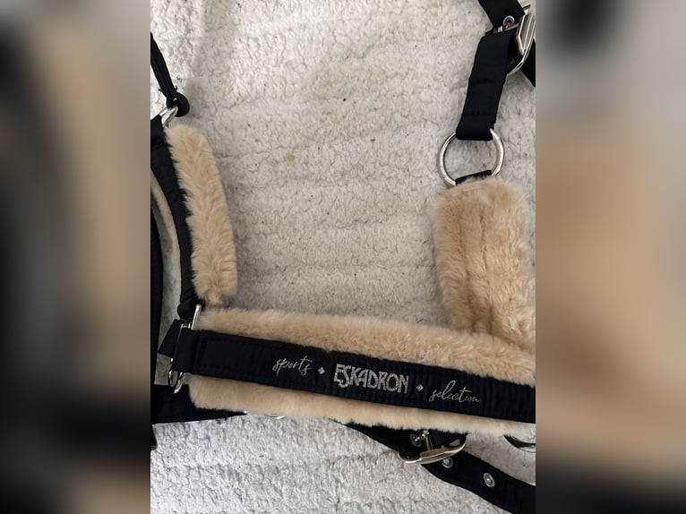 Verkaufe Neu Eskadron Glitzer Halfter + Strick