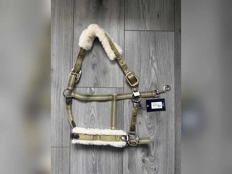 Verkaufe Neu Eskadron Glitzer Halfter + Strick