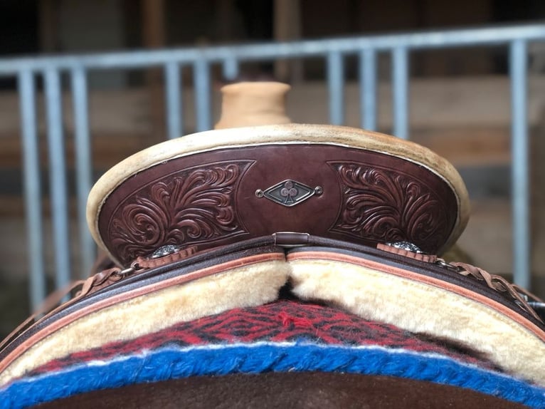 Wade Westernsattel Guido Netzer custommade Equiflex