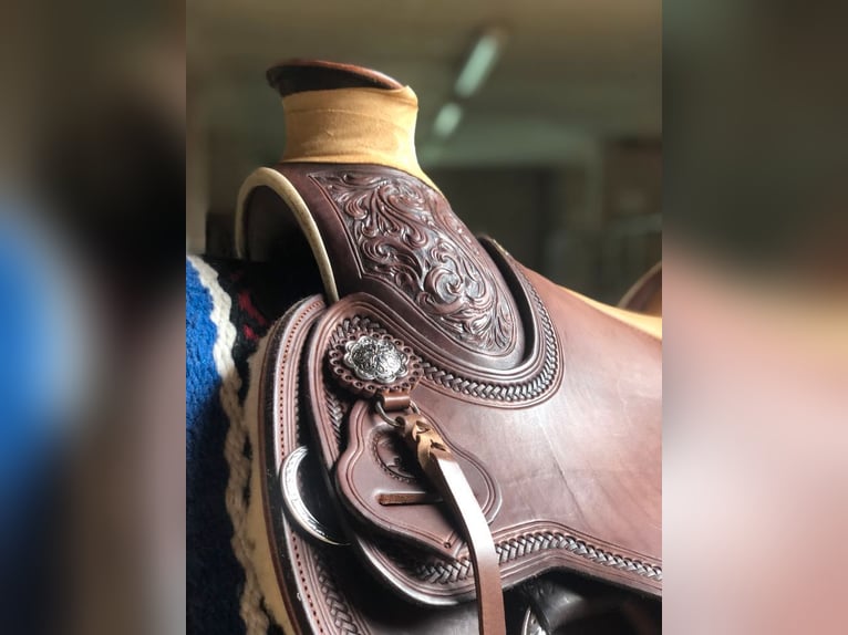 Wade Westernsattel Guido Netzer custommade Equiflex