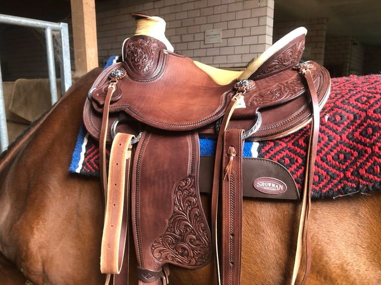 Wade Westernsattel Guido Netzer custommade Equiflex