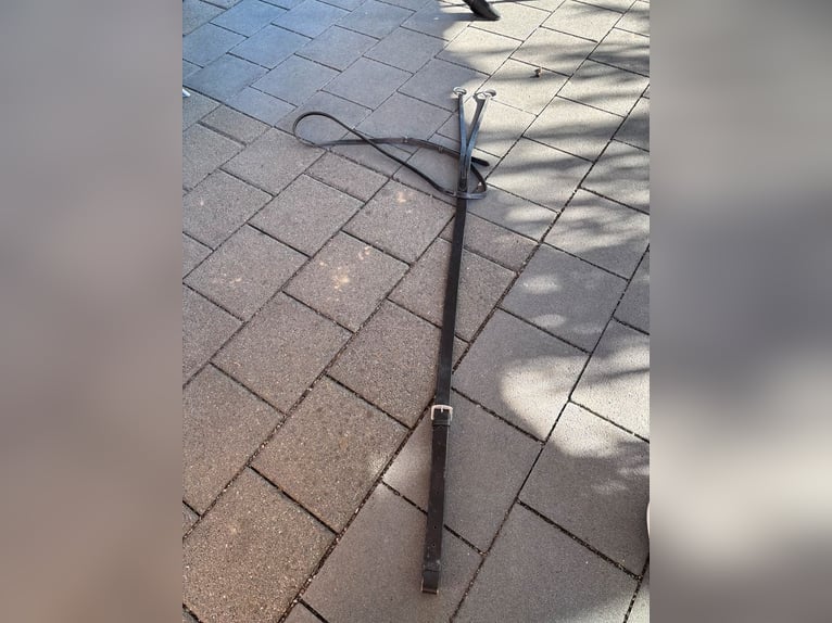 Waldhausen Stirnriemen schwarz WB neu