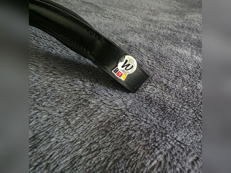 Waldhausen Stirnriemen schwarz WB neu