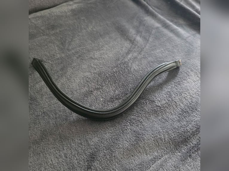 Waldhausen Stirnriemen schwarz WB neu