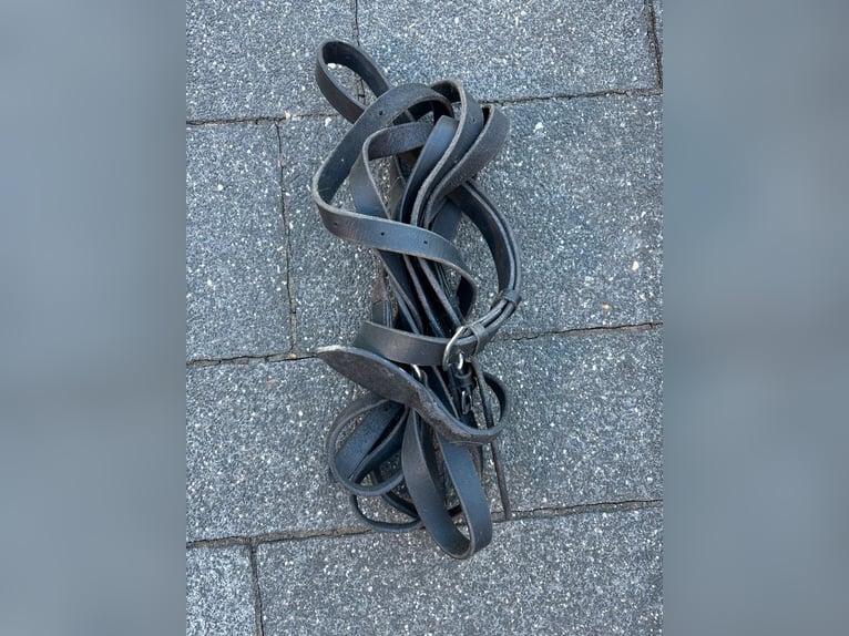 Waldhausen Stirnriemen schwarz WB neu