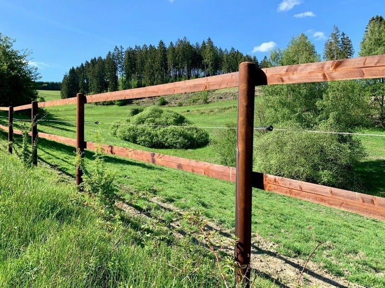 Weidezaun 200m SET Koppelzaun Pferdezaun Zaun Holz Weide Pferde