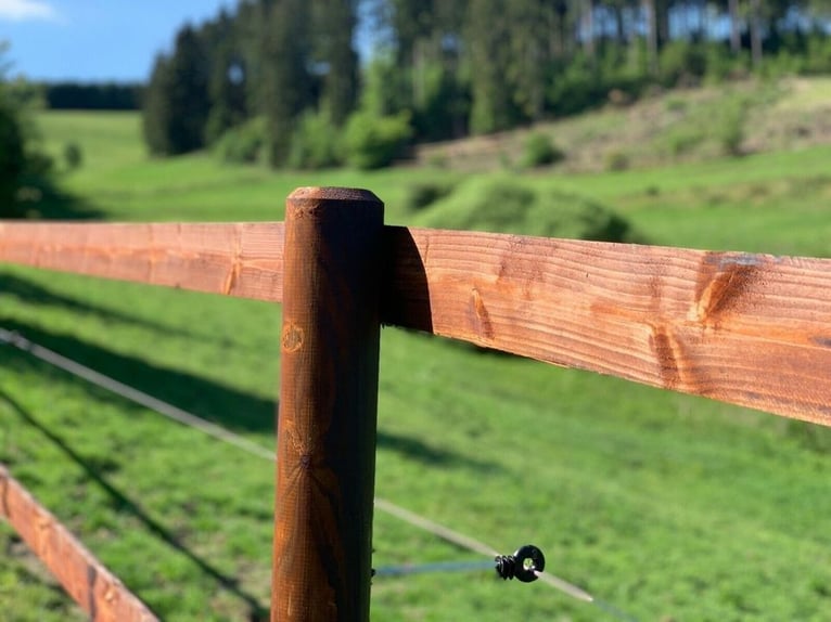 Weidezaun 200m SET Koppelzaun Pferdezaun Zaun Holz Weide Pferde