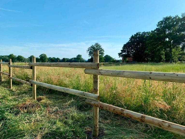 Weidezaun 200m SET Koppelzaun Pferdezaun Zaun Holz Weide Pferde