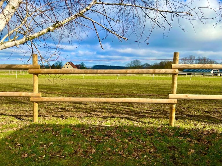 Weidezaun Koppelzaun Pferdezaun Zaun Holz Pfähle Pferd 100m SET