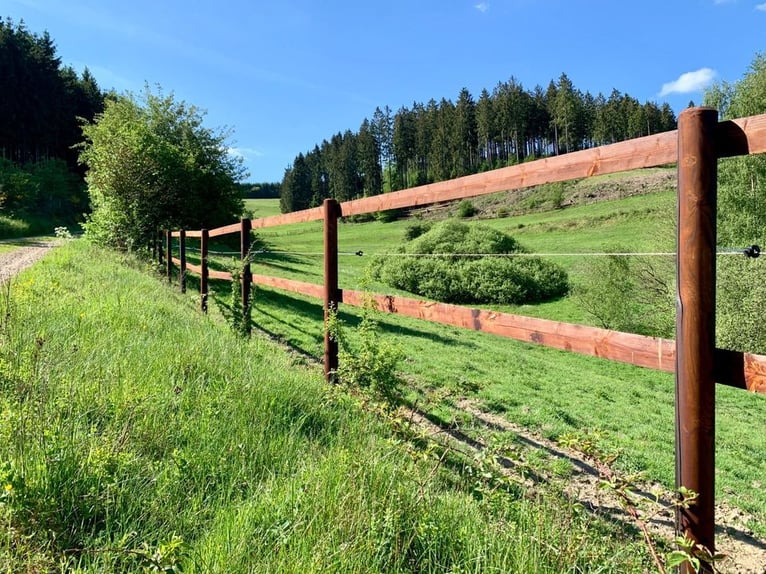 Weidezaun Koppelzaun Pferdezaun Zaun Holz Pfähle Pferd 100m SET