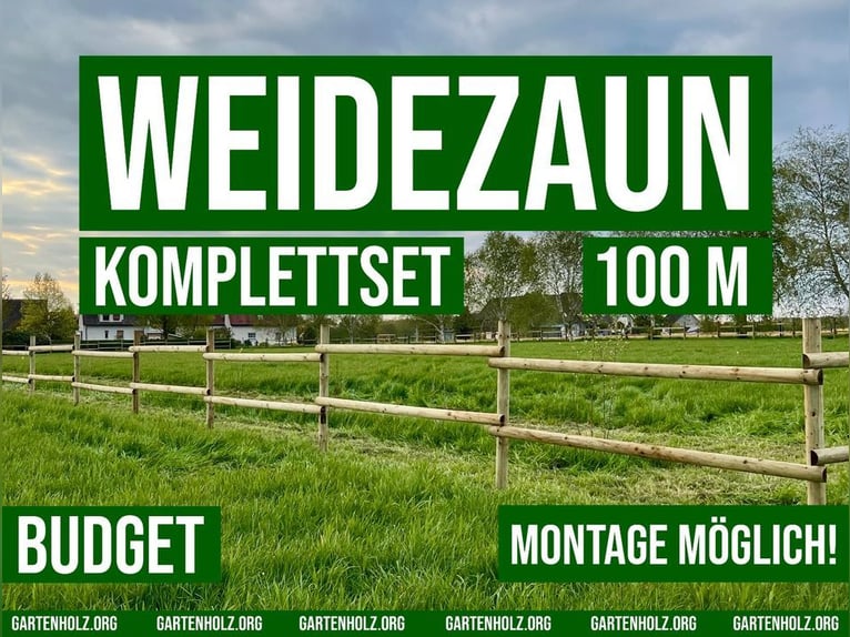 Weidezaun Koppelzaun Pferdezaun Zaun Holz Pfähle Pferd 100m SET