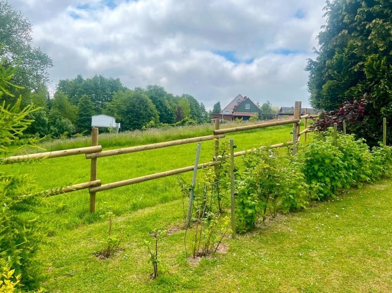 Weidezaun Koppelzaun Pferdezaun Zaun Holz Pfähle Pferd 100m SET