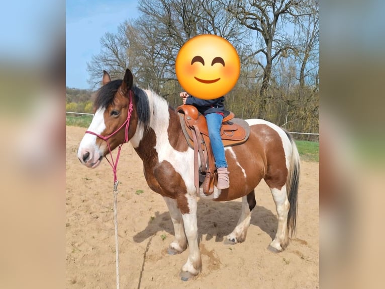 Westernsattel breit für Tinker oder Haflinger