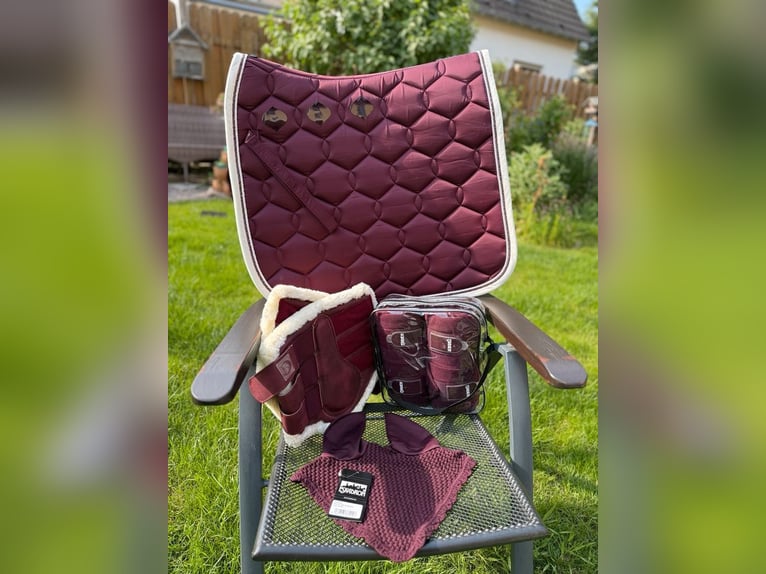 Wunderschönes Eskadron Dressur Set Marone-Petrol