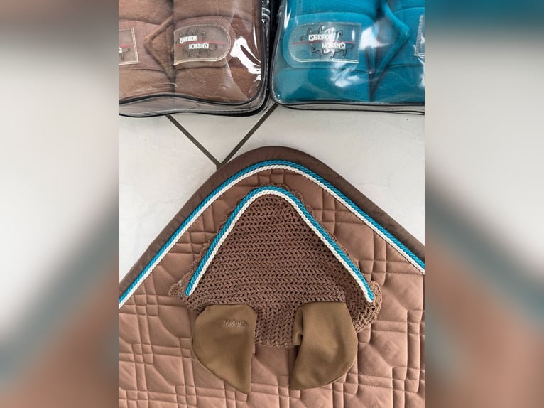 Wunderschönes Eskadron Dressur Set Marone-Petrol