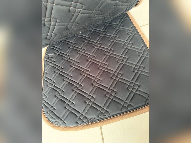 Wunderschönes Eskadron Dressur Set Marone-Petrol
