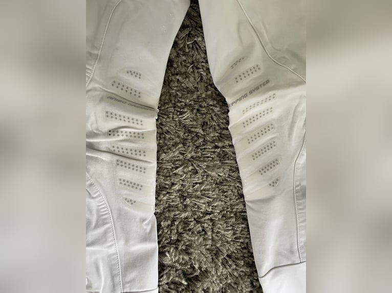 Animo Reithose - Weiss D32