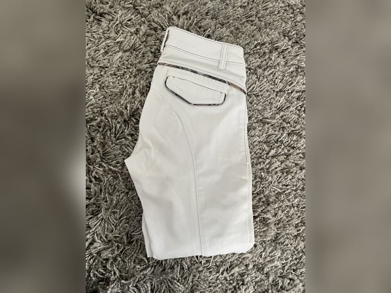Animo Reithose - Weiss D32