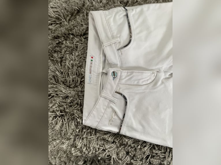 Animo Reithose - Weiss D32