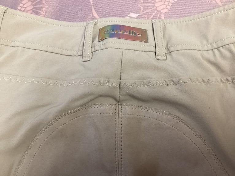 Cavallo Reithose Cellina