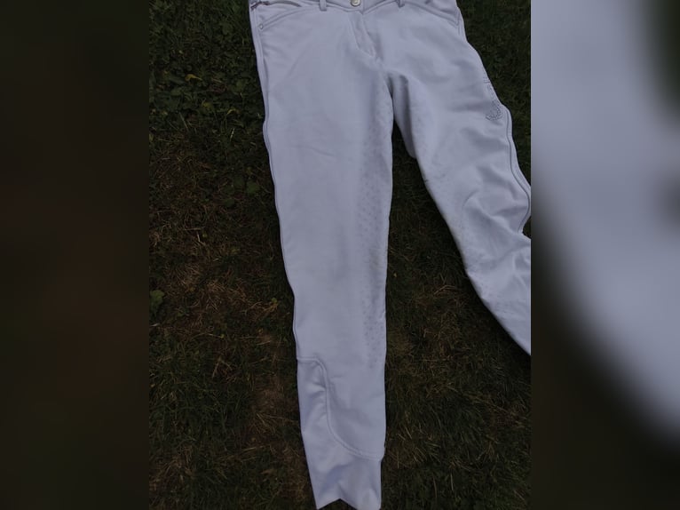 Cavallo Reithosen Cavalcalima Vollbesatz Grip Gr. 38 weiß Turnierreithose 