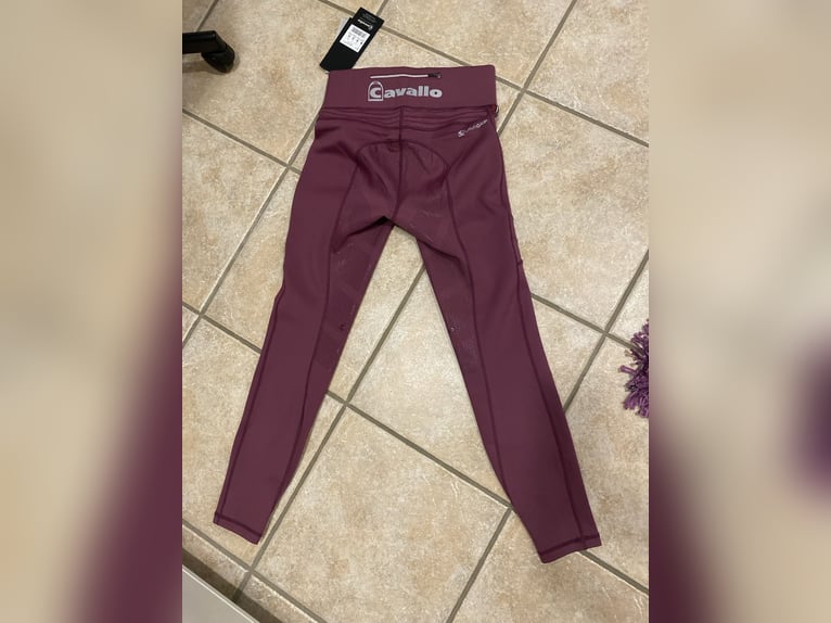 Cavallo Reitleggins NEU