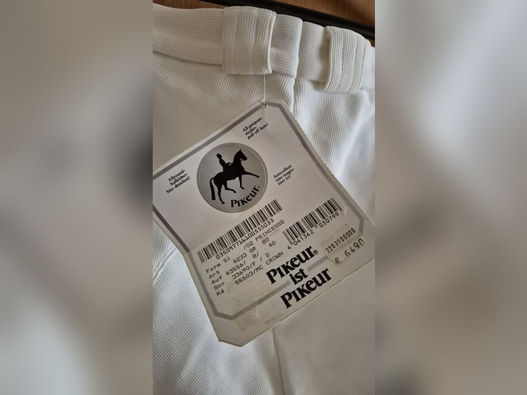 Damen Reithose Pikeur gr. 40