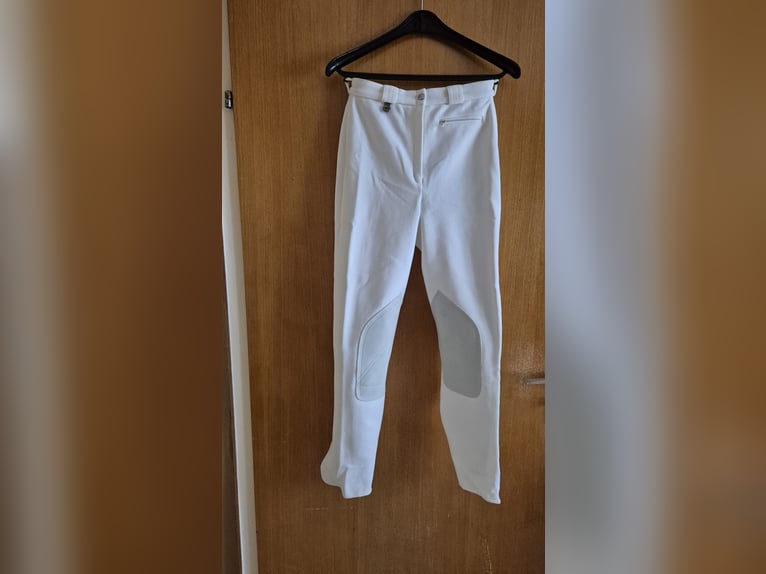 Damen Reithose Pikeur gr. 40