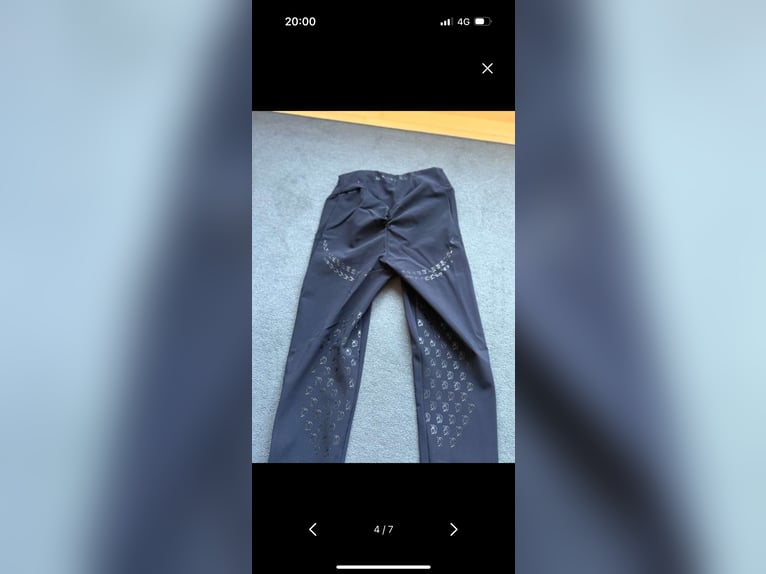 Dandylearns Reitleggings 