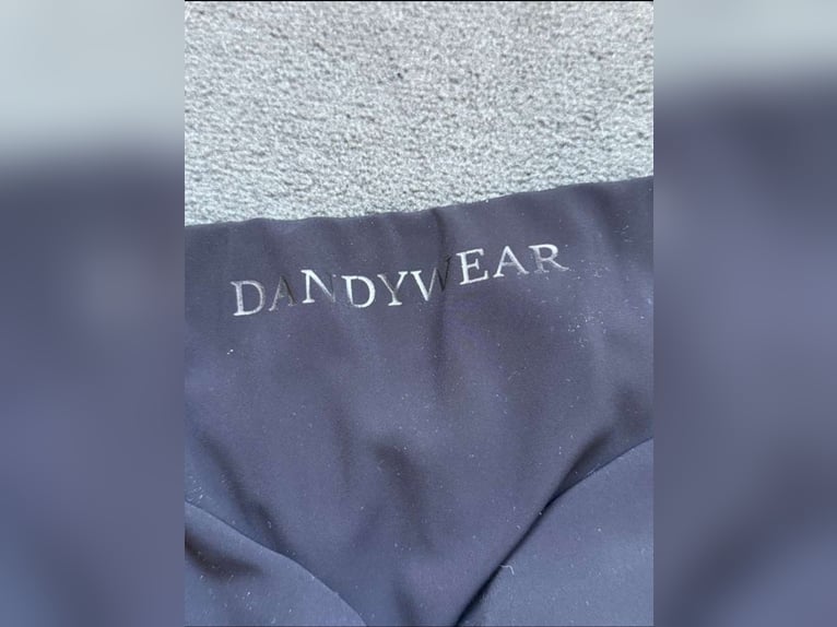 Dandylearns Reitleggings 
