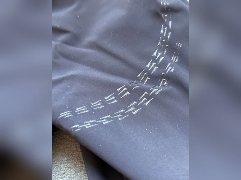 Dandylearns Reitleggings 