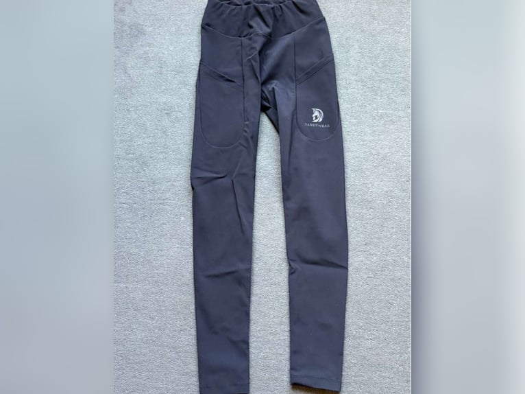 Dandylearns Reitleggings 