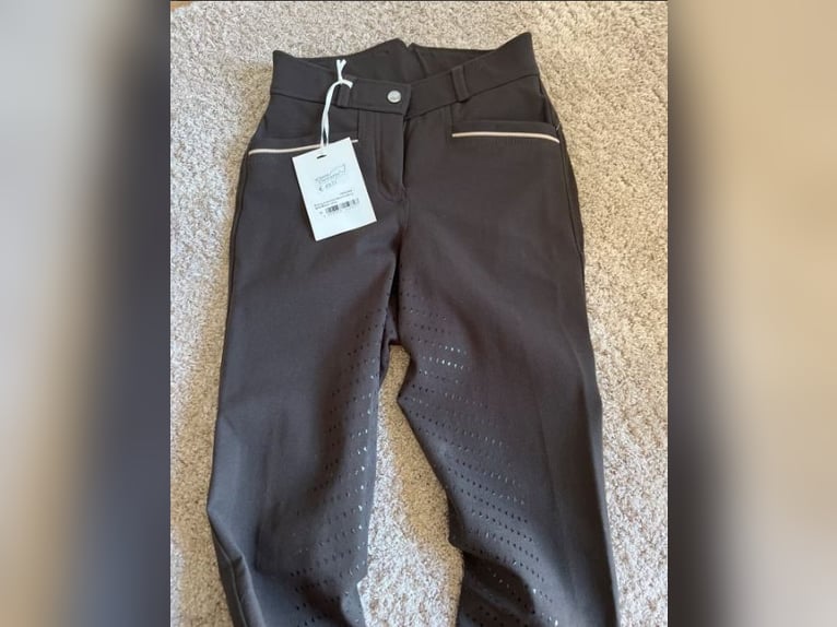 Easy Rider Reithose Gr. 34 braun