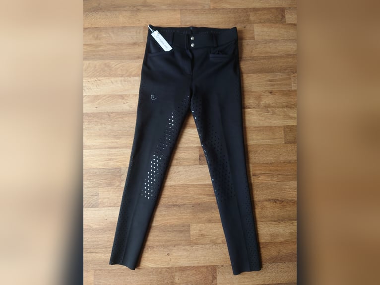 Etalon Vert Reithose Dominator 