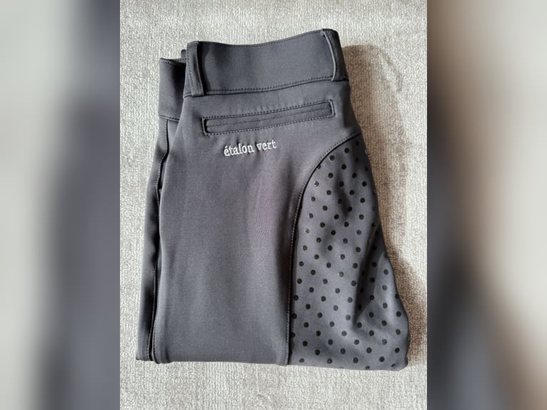Étalon vert Reithose dunkelgrau seamless Größe S