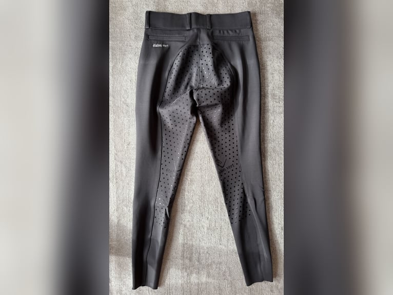 Étalon vert Reithose dunkelgrau seamless Größe S