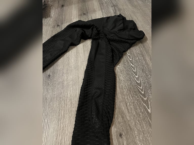 Euro-Star Reitleggings Flying Famous Full Grip 38 Neuwertig  