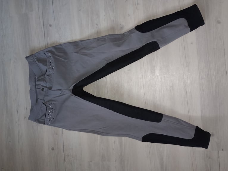 Eurostar Reithose Vollbesatz 