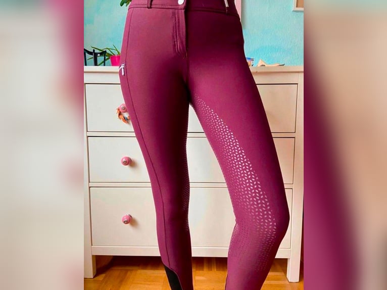 Felix Bühler Grip-Hochbund-Vollbesatz Reithose Evelyn 36 S Plum