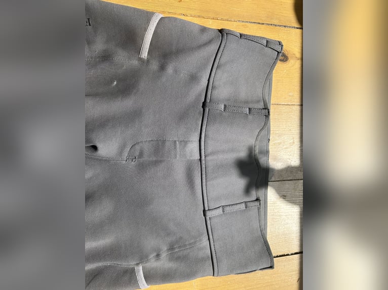 Felix Bühler Vollbesatz Reithose