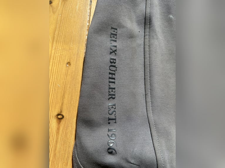Felix Bühler Vollbesatz Reithose