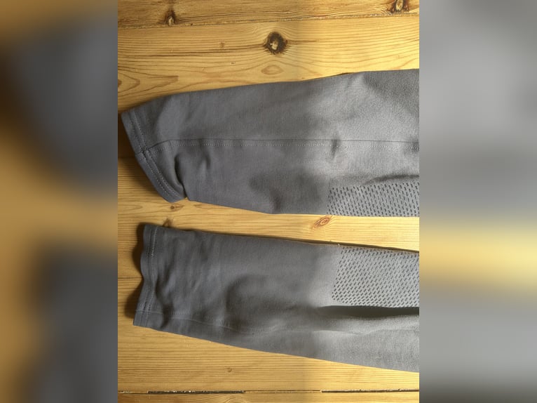Felix Bühler Vollbesatz Reithose
