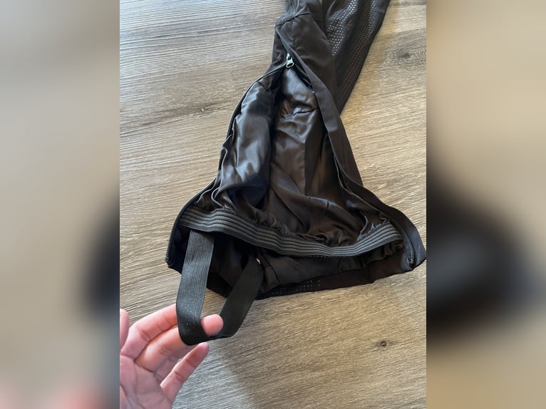 Felix Bühler Winter Überzieh Reithose S NEUWERTIG