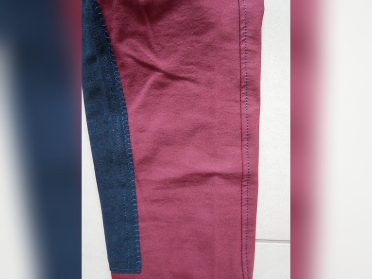 Felix Bühler~Damen Vollbesatz Reithose + Stirnband~brombeer/marine~Gr. 76~Neu~